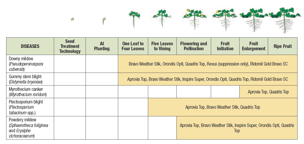 An agronomic chart showing fungicide recommendations for watermelon.
