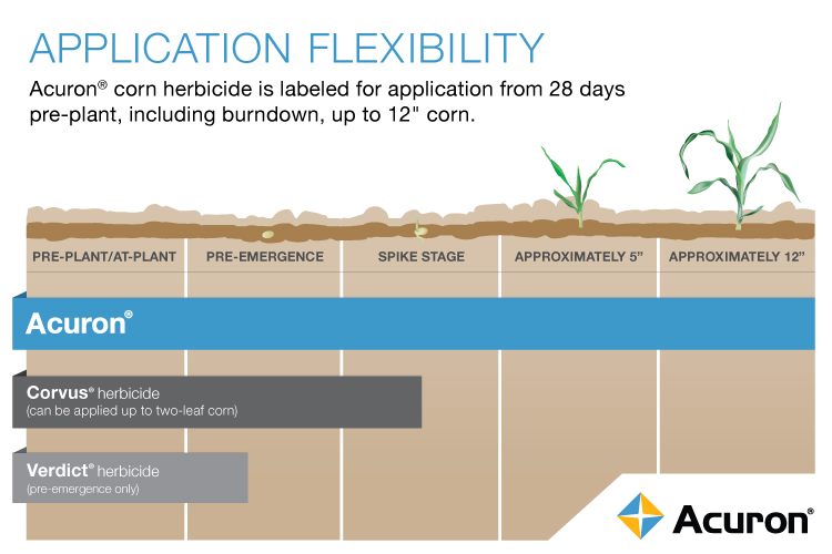 This image shows crop management and application flexibility of Acuron.