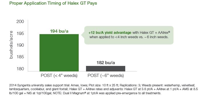 This agronomic photo shows the proper application timing of Halex GT.