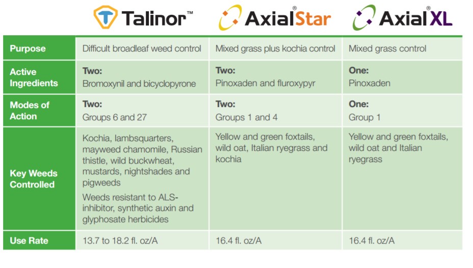 This agronomic blog image shows the comparison of Talinor, Axial Star, and Axial XL.