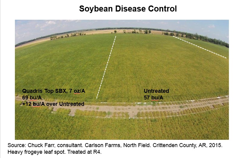 This agronomic photo shows the difference between soybean fields treated with Quadris Top SBX and untreated.
