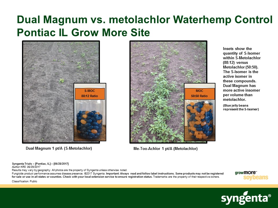 This image shows the increased control of Dual Magnum herbicide over a generic herbicide.