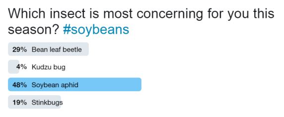 This photo shows a Twitter poll stating soybean aphids are the biggest pest concern in soybeans.