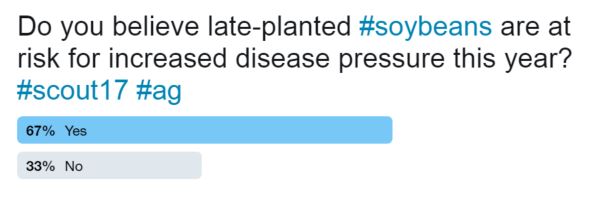 This poll shows respondents believe late-planted soybeans are at a risk from disease.