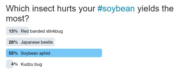 This photo shows a Twitter poll stating soybean aphids hurt yields most in soybeans.