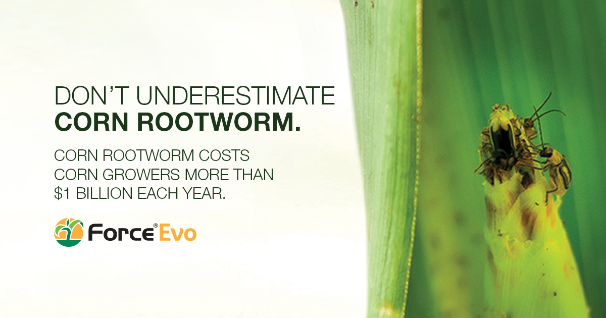 This image is promoting Force Evo, , a new liquid corn insecticide.