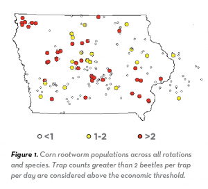 This data chart shows the corn rootworm populations per trap per day in Iowa.