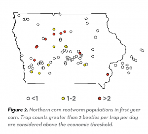 This data chart shows specifically the Northern corn rootworm populations per trap per day in Iowa.