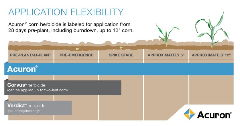 This chart shows the application flexibility of Acuron, Corvus and Verdict herbicides.